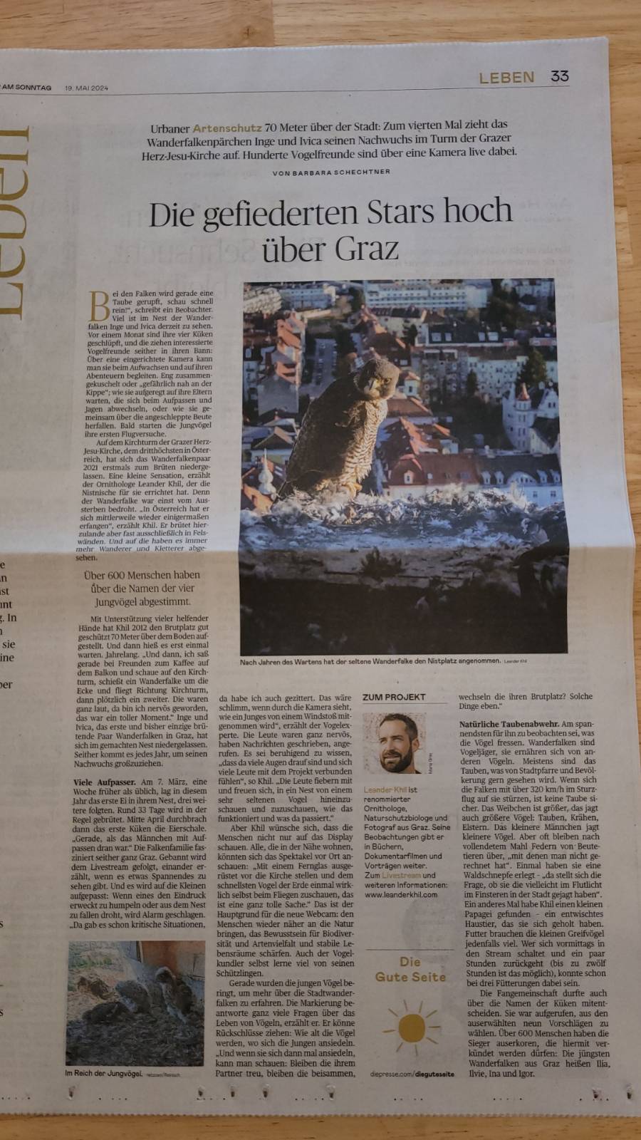 Gefiederte|Stars hoch über Graz - Die Presse 19.5.2024