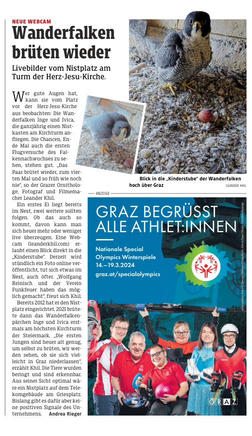 Wanderfaken|brüten wieder - Webcam auf Herz-Jesu-Kirche - Kleine Zeitung, 9.3.2024